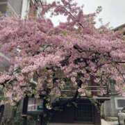 ヒメ日記 2025/03/20 11:19 投稿 ミンチー 鶯谷デッドボール