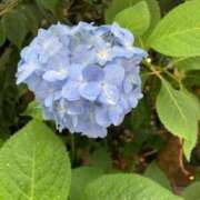 ヒメ日記 2025/06/06 11:19 投稿 ミンチー 鶯谷デッドボール