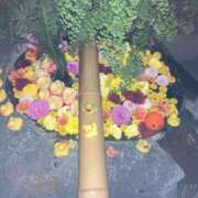 ヒメ日記 2025/11/06 11:25 投稿 ミンチー 鶯谷デッドボール