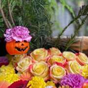 ヒメ日記 2025/11/15 10:43 投稿 ミンチー 鶯谷デッドボール