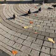 ミンチー 出勤しました 鶯谷デッドボール