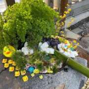 ヒメ日記 2025/12/31 09:09 投稿 ミンチー 鶯谷デッドボール