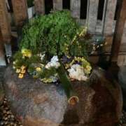 ヒメ日記 2026/01/01 10:09 投稿 ミンチー 鶯谷デッドボール