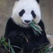 ヒメ日記 2026/01/02 10:09 投稿 ミンチー 鶯谷デッドボール