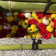 ヒメ日記 2026/01/05 15:09 投稿 ミンチー 鶯谷デッドボール