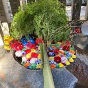 ヒメ日記 2026/02/05 11:09 投稿 ミンチー 鶯谷デッドボール