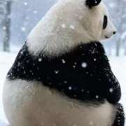 ヒメ日記 2026/02/17 11:09 投稿 ミンチー 鶯谷デッドボール