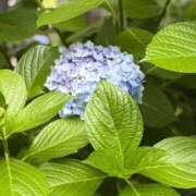 ヒメ日記 2026/06/02 11:20 投稿 ミンチー 鶯谷デッドボール