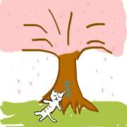 ヒメ日記 2025/04/01 17:25 投稿 あむ luxury spa 風雅