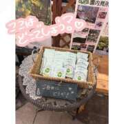 ヒメ日記 2025/04/27 20:15 投稿 あむ luxury spa 風雅