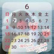 ヒメ日記 2025/06/09 01:08 投稿 あむ luxury spa 風雅