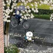 ヒメ日記 2026/01/29 07:59 投稿 あむ luxury spa 風雅