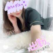 ヒメ日記 2025/04/18 15:20 投稿 ひとみ 品川ミセスアロマ（ユメオト）