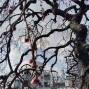 ヒメ日記 2026/02/02 12:54 投稿 ゆずる 妻天 京橋店