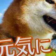 ヒメ日記 2024/12/15 15:00 投稿 田村美紀 五十路マダム 岐阜店