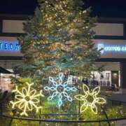 ヒメ日記 2024/12/15 20:06 投稿 田村美紀 五十路マダム 岐阜店