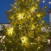 ヒメ日記 2024/12/16 22:04 投稿 田村美紀 五十路マダム 岐阜店