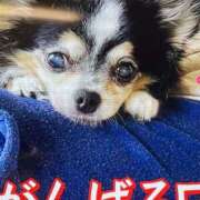 ヒメ日記 2024/12/17 06:20 投稿 田村美紀 五十路マダム 岐阜店