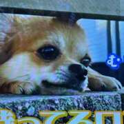 ヒメ日記 2024/12/19 20:24 投稿 田村美紀 五十路マダム 岐阜店