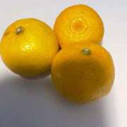 ヒメ日記 2024/12/21 09:24 投稿 田村美紀 五十路マダム 岐阜店