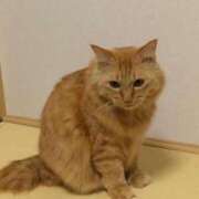 ヒメ日記 2024/12/22 06:20 投稿 田村美紀 五十路マダム 岐阜店