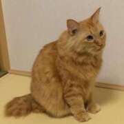 ヒメ日記 2024/12/22 11:48 投稿 田村美紀 五十路マダム 岐阜店