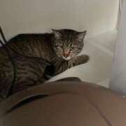 ヒメ日記 2024/12/29 05:30 投稿 田村美紀 五十路マダム 岐阜店