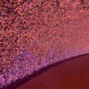 ヒメ日記 2024/12/29 23:44 投稿 田村美紀 五十路マダム 岐阜店