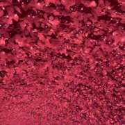 ヒメ日記 2024/12/29 23:56 投稿 田村美紀 五十路マダム 岐阜店