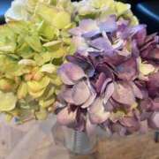 ヒメ日記 2024/12/31 13:30 投稿 田村美紀 五十路マダム 岐阜店