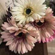 ヒメ日記 2024/12/31 20:18 投稿 田村美紀 五十路マダム 岐阜店