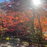 ヒメ日記 2025/01/02 05:30 投稿 田村美紀 五十路マダム 岐阜店