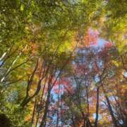 ヒメ日記 2025/01/02 06:20 投稿 田村美紀 五十路マダム 岐阜店