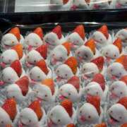 ヒメ日記 2025/01/05 00:42 投稿 田村美紀 五十路マダム 岐阜店