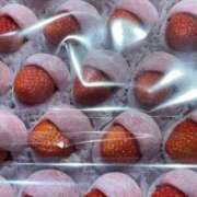 ヒメ日記 2025/01/05 05:46 投稿 田村美紀 五十路マダム 岐阜店