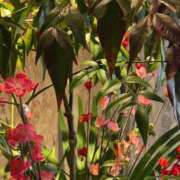 ヒメ日記 2025/01/06 12:42 投稿 田村美紀 五十路マダム 岐阜店