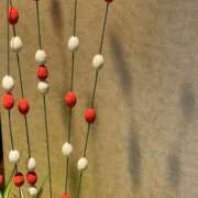 ヒメ日記 2025/01/06 13:28 投稿 田村美紀 五十路マダム 岐阜店