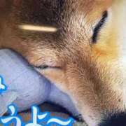 ヒメ日記 2025/01/06 20:48 投稿 田村美紀 五十路マダム 岐阜店