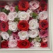 ヒメ日記 2025/01/11 23:06 投稿 田村美紀 五十路マダム 岐阜店