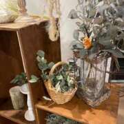 ヒメ日記 2025/01/13 09:46 投稿 田村美紀 五十路マダム 岐阜店