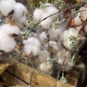 ヒメ日記 2025/01/14 20:20 投稿 田村美紀 五十路マダム 岐阜店