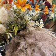 ヒメ日記 2025/01/19 08:04 投稿 田村美紀 五十路マダム 岐阜店