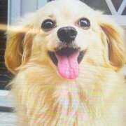 ヒメ日記 2025/01/22 05:30 投稿 田村美紀 五十路マダム 岐阜店