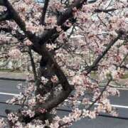 ヒメ日記 2025/01/26 07:56 投稿 田村美紀 五十路マダム 岐阜店