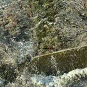 ヒメ日記 2025/02/06 20:16 投稿 田村美紀 五十路マダム 岐阜店