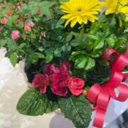 ヒメ日記 2025/02/13 05:30 投稿 田村美紀 五十路マダム 岐阜店