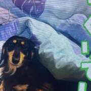 ヒメ日記 2025/02/28 20:02 投稿 田村美紀 五十路マダム 岐阜店