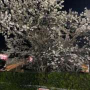 ヒメ日記 2025/03/02 07:32 投稿 田村美紀 五十路マダム 岐阜店