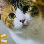 ヒメ日記 2025/03/04 05:30 投稿 田村美紀 五十路マダム 岐阜店