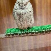 ヒメ日記 2025/03/07 05:30 投稿 田村美紀 五十路マダム 岐阜店